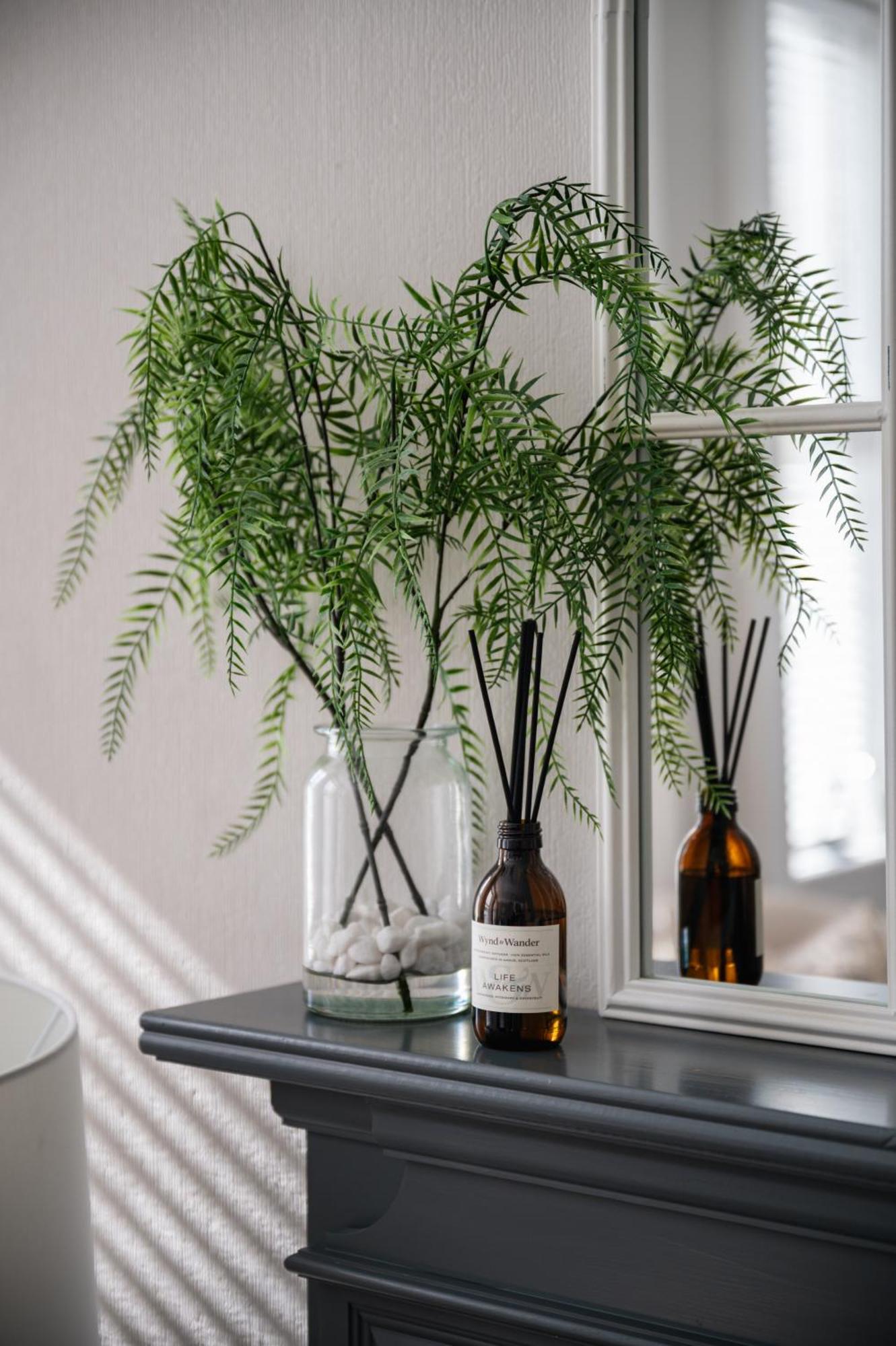 Lovely Entire Flat In Birnam, Neighbouring Dunkeld Extérieur photo